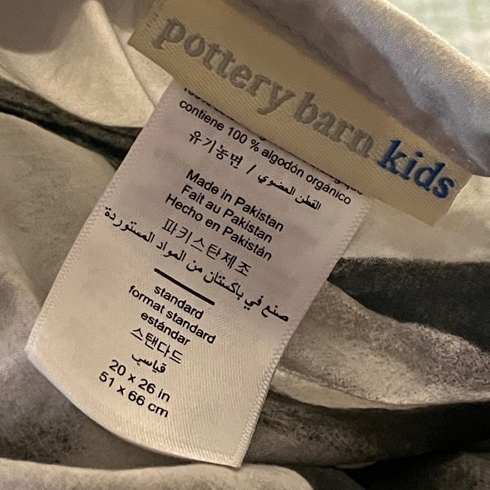 Pottery Barn~Jurassic~Dinosaur Queen/Full Duvet w/2 Shams~100% Organic Cotton - Picture 2 of 16